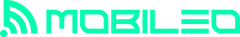 Asset 3